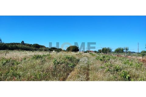 Tomt i Benfica do Ribatejo, Santarem, Benfica do Ribatejo - € 25 000 | Ref: 100.001.655 - foto 4