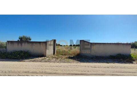 Tomt i Benfica do Ribatejo, Santarem, Benfica do Ribatejo - € 25 000 | Ref: 100.001.655 - foto 5
