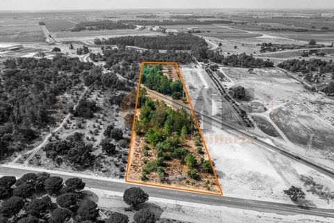 Helårsgrund i Almeirim, Santarem, Almeirim - € 449.500 | Ref: 100.001.692 - foto 1