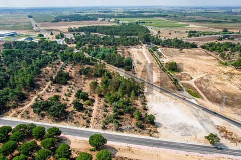 Helårsgrund i Almeirim, Santarem, Almeirim - € 449.500 | Ref: 100.001.692 - foto 2