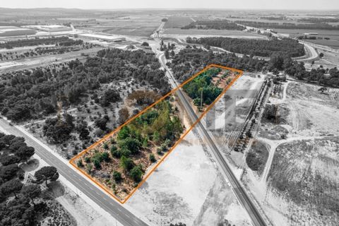 Helårsgrund i Almeirim, Santarem, Almeirim - € 449.500 | Ref: 100.001.692 - foto 3