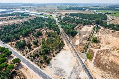 Helårsgrund i Almeirim, Santarem, Almeirim - € 449.500 | Ref: 100.001.692 - foto 4