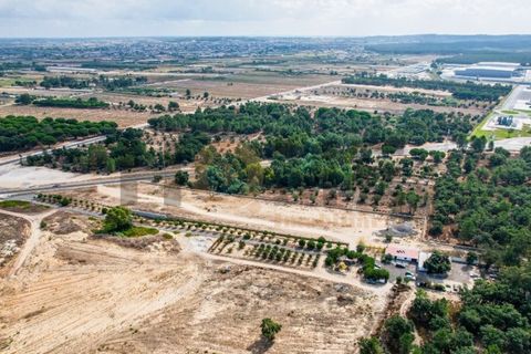 Helårsgrund i Almeirim, Santarem, Almeirim - € 449.500 | Ref: 100.001.692 - foto 12
