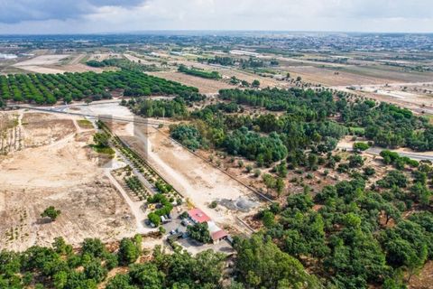 Helårsgrund i Almeirim, Santarem, Almeirim - € 449.500 | Ref: 100.001.692 - foto 14