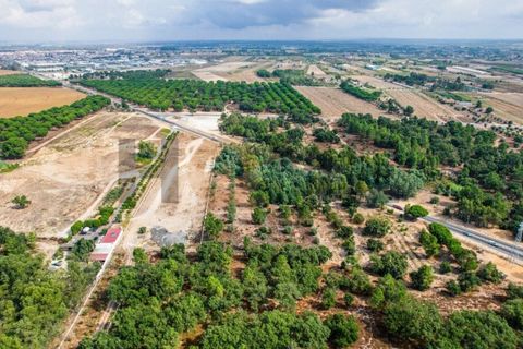 Helårsgrund i Almeirim, Santarem, Almeirim - € 449.500 | Ref: 100.001.692 - foto 16