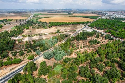 Helårsgrund i Almeirim, Santarem, Almeirim - € 449.500 | Ref: 100.001.692 - foto 20