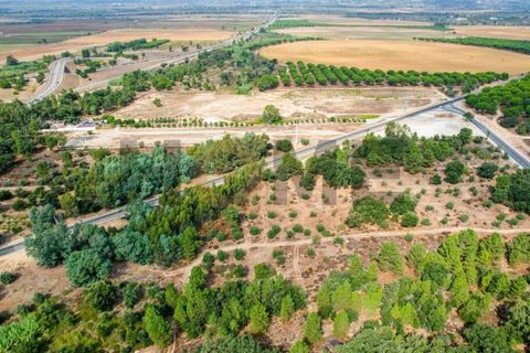 Helårsgrund i Almeirim, Santarem, Almeirim - € 449.500 | Ref: 100.001.692 - foto 22