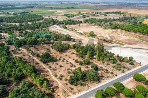 Helårsgrund i Almeirim, Santarem, Almeirim - € 449.500 | Ref: 100.001.692 - foto 24