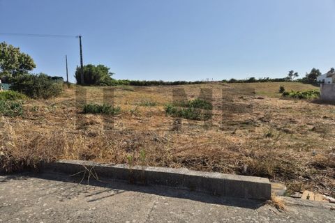 Helårsgrund i Alpiarca, Santarem, Alpiarca - € 99.500 | Ref: 100.001.800 - foto 2