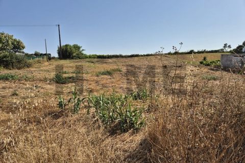 Helårsgrund i Alpiarca, Santarem, Alpiarca - € 99.500 | Ref: 100.001.800 - foto 4