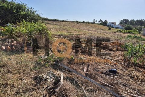 Helårsgrund i Alpiarca, Santarem, Alpiarca - € 99.500 | Ref: 100.001.800 - foto 5