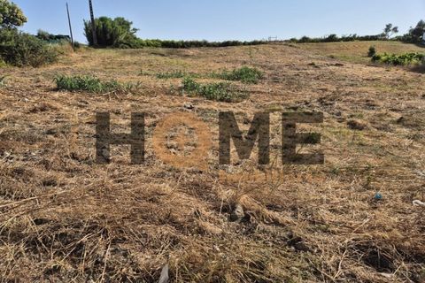 Helårsgrund i Alpiarca, Santarem, Alpiarca - € 99.500 | Ref: 100.001.800 - foto 6