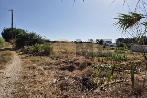 Helårsgrund i Alpiarca, Santarem, Alpiarca - € 99.500 | Ref: 100.001.800 - foto 7