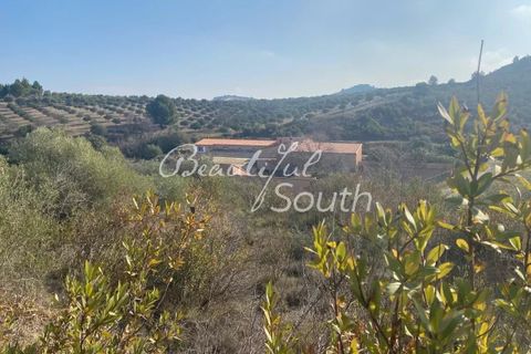 Villa i Perpignan, Pyrenees-Orientales, Perpignan - € 1.102.500 | Ref: CP339 - foto 2