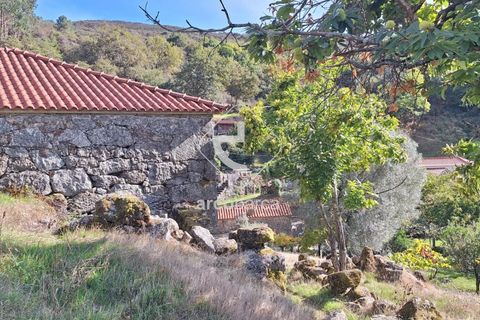 Byhus i Ponte de Lima, Viana do Castelo, Ponte de Lima - € 110.000 | Ref: AV6422 - foto 16