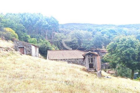 Byhus i Ponte de Lima, Viana do Castelo, Ponte de Lima - € 110.000 | Ref: AV6422 - foto 19