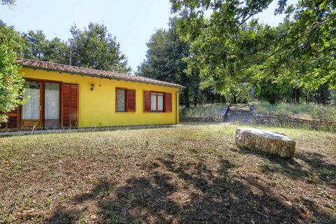 Rækkehus i Monteverdi Marittimo, Pisa, Monteverdi Marittimo - € 259.000 | Ref: a3165rv2491676a - foto 3