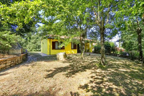 Rækkehus i Monteverdi Marittimo, Pisa, Monteverdi Marittimo - € 259.000 | Ref: a3165rv2491676a - foto 4