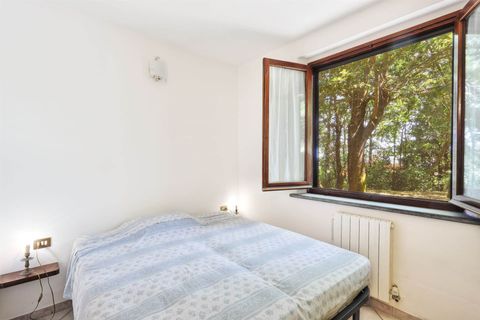 Rækkehus i Monteverdi Marittimo, Pisa, Monteverdi Marittimo - € 259.000 | Ref: a3165rv2491676a - foto 12