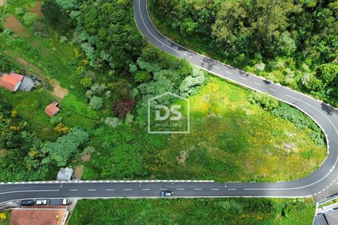 Helårsgrund i Machico, Madeira, Machico - € 135.000 | Ref: DSF208 - foto 4