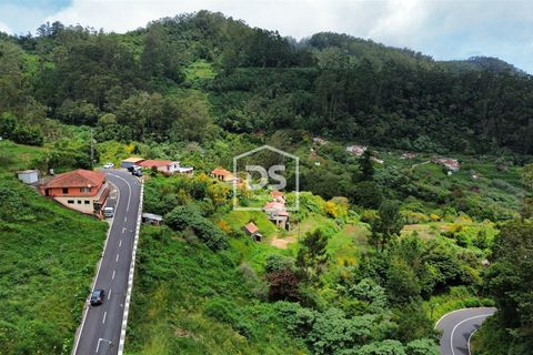 Helårsgrund i Machico, Madeira, Machico - € 135.000 | Ref: DSF208 - foto 5