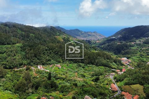 Helårsgrund i Machico, Madeira, Machico - € 135.000 | Ref: DSF208 - foto 7