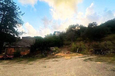 Villa a Sangineto, Cosenza, Sangineto - € 120.000 | Ref: 1363 - foto 6