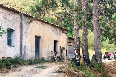 Villa a Sangineto, Cosenza, Sangineto - € 120.000 | Ref: 1363 - foto 9