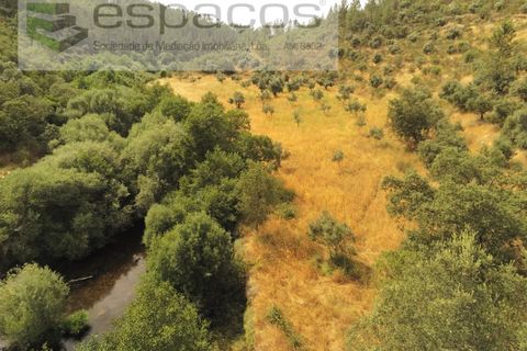 Helårsgrund i Castelo Branco, Castelo Branco, Castelo Branco - € 32.500 | Ref: 5776/EG - foto 1