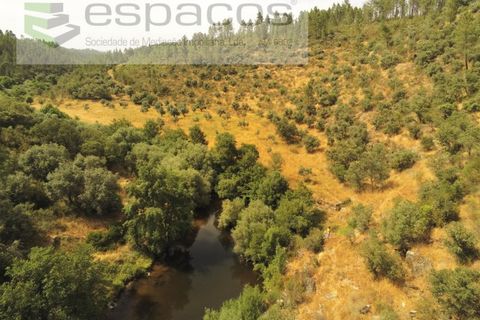 Helårsgrund i Castelo Branco, Castelo Branco, Castelo Branco - € 32.500 | Ref: 5776/EG - foto 2
