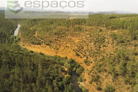 Helårsgrund i Castelo Branco, Castelo Branco, Castelo Branco - € 32.500 | Ref: 5776/EG - foto 3