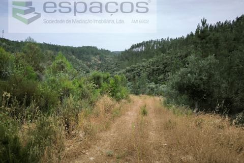 Helårsgrund i Castelo Branco, Castelo Branco, Castelo Branco - € 32.500 | Ref: 5776/EG - foto 4