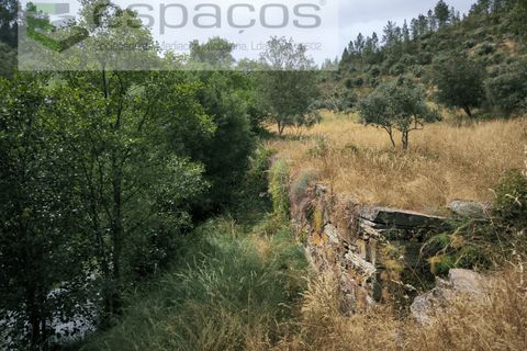Helårsgrund i Castelo Branco, Castelo Branco, Castelo Branco - € 32.500 | Ref: 5776/EG - foto 6