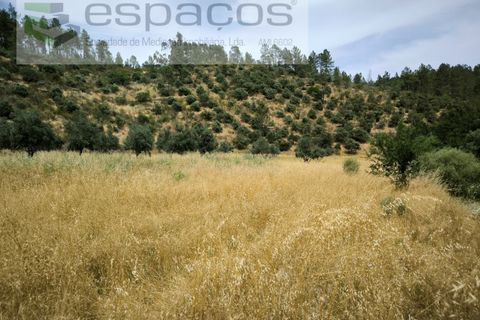 Helårsgrund i Castelo Branco, Castelo Branco, Castelo Branco - € 32.500 | Ref: 5776/EG - foto 7