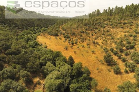 Helårsgrund i Castelo Branco, Castelo Branco, Castelo Branco - € 32.500 | Ref: 5776/EG - foto 8
