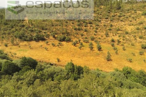 Helårsgrund i Castelo Branco, Castelo Branco, Castelo Branco - € 32.500 | Ref: 5776/EG - foto 9