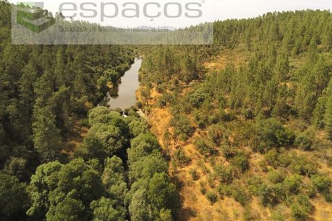 Helårsgrund i Castelo Branco, Castelo Branco, Castelo Branco - € 32.500 | Ref: 5776/EG - foto 11