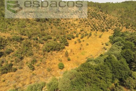 Helårsgrund i Castelo Branco, Castelo Branco, Castelo Branco - € 32.500 | Ref: 5776/EG - foto 12
