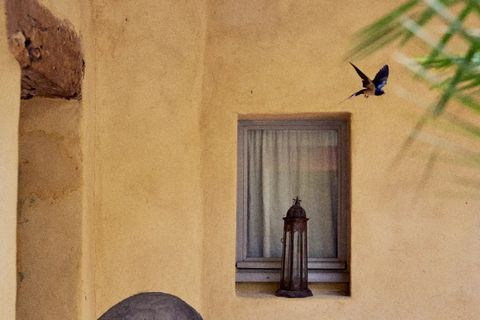 Villa i Uzes, Gard, Uzes - € 1.295.000 | Ref: HH-15941796 - foto 23