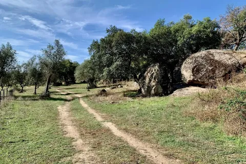 Farm hus i Alter do Chao, Portalegre, Alter do Chao - € 1.365.000 | Ref: C0486-00166 - foto 5