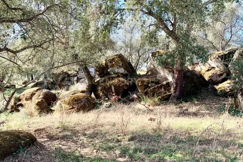 Farm hus i Alter do Chao, Portalegre, Alter do Chao - € 1.365.000 | Ref: C0486-00166 - foto 11