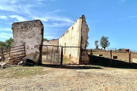 Farm hus i Alter do Chao, Portalegre, Alter do Chao - € 1.365.000 | Ref: C0486-00166 - foto 13