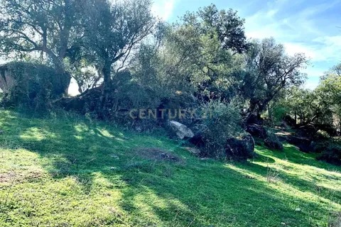 Farm hus i Alter do Chao, Portalegre, Alter do Chao - € 1.365.000 | Ref: C0486-00166 - foto 15