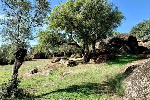 Farm hus i Alter do Chao, Portalegre, Alter do Chao - € 1.365.000 | Ref: C0486-00166 - foto 16
