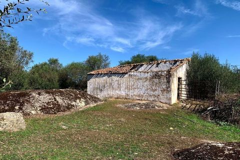 Farm hus i Alter do Chao, Portalegre, Alter do Chao - € 1.365.000 | Ref: C0486-00166 - foto 17