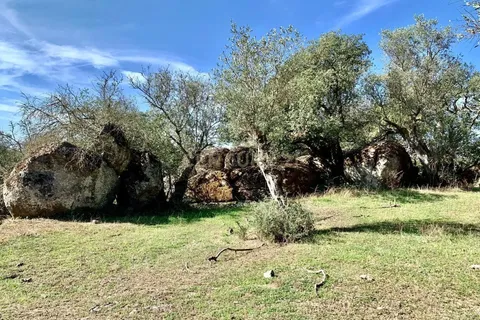Farm hus i Alter do Chao, Portalegre, Alter do Chao - € 1.365.000 | Ref: C0486-00166 - foto 18