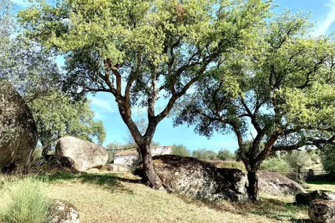 Farm hus i Alter do Chao, Portalegre, Alter do Chao - € 1.365.000 | Ref: C0486-00166 - foto 19