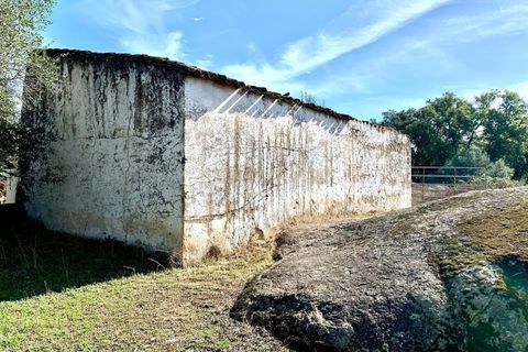 Farm hus i Alter do Chao, Portalegre, Alter do Chao - € 1.365.000 | Ref: C0486-00166 - foto 20