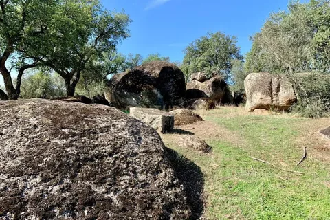 Farm hus i Alter do Chao, Portalegre, Alter do Chao - € 1.365.000 | Ref: C0486-00166 - foto 25