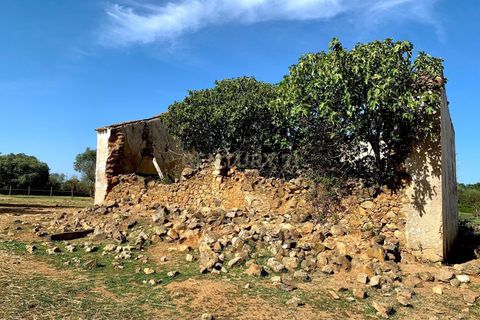 Farm hus i Alter do Chao, Portalegre, Alter do Chao - € 1.365.000 | Ref: C0486-00166 - foto 29